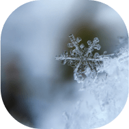 service-cryosauna